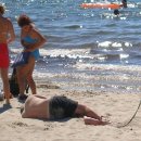 대빵이네 이미지