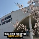 하늘달빛로2번길 | 영종도 오션뷰 카페 끝판왕 🌊 사운즈오브선셋 벚꽃까지 완벽했던 후기