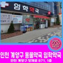 인천계양동물약국 이미지