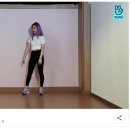 미브이