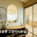 봄동살롱 이미지