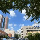 조마루로311번길 이미지