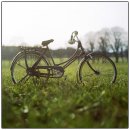 영주시 자전거공원 공공자전거대여소 | 여의도 한강공원 자전거 대여 요금·종류·꿀팁 완벽 정리 (2026 최신)