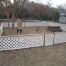 코코애견펜션 이미지