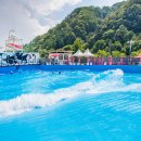 어린왕자의나무별 이미지