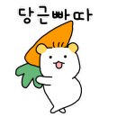 동해카써비스 이미지