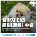 논산동물병원 이미지