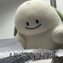 갈매기둥지