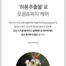 제이케이스킨케어