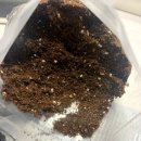 원예가드닝 | 원예용상토 홈가드닝으로 분갈이 후기