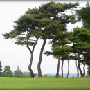 삼성골프장 이미지