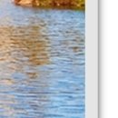 종각한의원 이미지