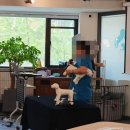 보정동물병원 이미지