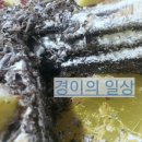 리앤브레드