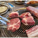 제주야 표선 이미지