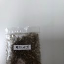 초록경로당 | 칠남매 추어탕 깊고 진한 보양식으로 즐기는 어르신들과의 식사