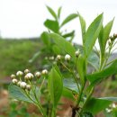 유진농장 이미지