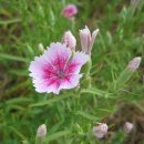 자전거도로 옆 이미지