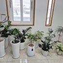 바디홍 | 청주 복부관리 전문 홍스킨&amp;바디 💜내 몸을 맡겨봐~~