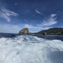 올레펜션 이미지