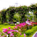 배산공원 이미지