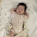 다송2호 이미지