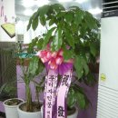 홍콩당구장 이미지