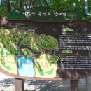 횡성병지방펜션 이미지