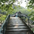 정자문화 이미지