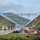 금오 아일랜드 펜션 이미지