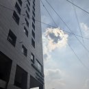 에스(S)헤어 | 👩🏻✨잠실 송파 미용실 : 포레스트에스헤어 FOREST S HAIR 펌 레이어드 커트 후기