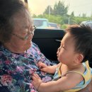 온양 횟집 소담해담 아산 스끼다시 잘나오는 횟집 4인특왕 룸 후기