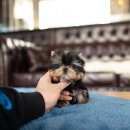 스테이 모량 이미지