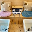 서문1로 | 대구 족욕카페 추천｜서문시장 족욕카페 쉼 힐링카페 후기