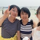 대천한의원 | 여름방학 <대천 해녀횟집> 후기