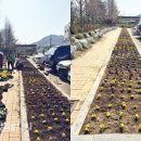 시기동주민센터 이미지