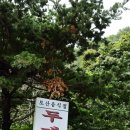 두메 이미지