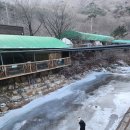 전원오토캠핑장 | 경주캠핑장 전원일기펜션오토캠핑장 후기