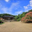 꽃의계절 이미지