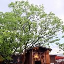 이루다식당 이미지