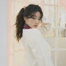 타미 이미지