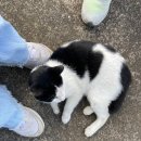 아린농장 이미지