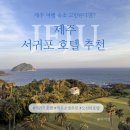 야자수하우스 | 제주도 서귀포 호텔 추천, 칼호텔 오션뷰 숙박후기