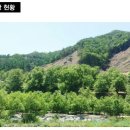 연호두 이미지