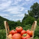 이인석 농장 이미지