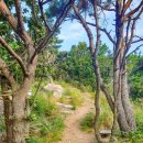 가릉주차장 이미지