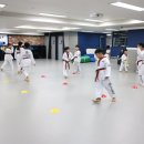 스타일 태권도장 이미지