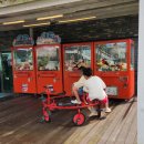 드르쿰다 | 제주 표선 목장 카페 드르쿰다 | 아이와 함께 즐긴 카트 체험 후기 (제주투어패스 무료 탑승 가능)