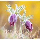 화전농장 이미지