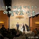 선릉역 | 선릉역 웨딩홀 하객 후기, 아펠가모 선릉